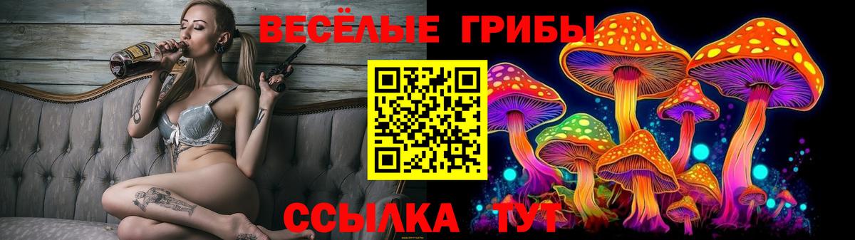 Апатиты  Псилоцибиновые грибы MAGIC MUSHROOMS  купить  сайты  Вход с VPN  Псилоцибиновые грибы GOLDEN TEACHER 